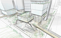 <b>冠空间做为绿轴的主要部门</b>