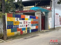 素的平易近房外墙被创意彩绘点亮、村道旁的小